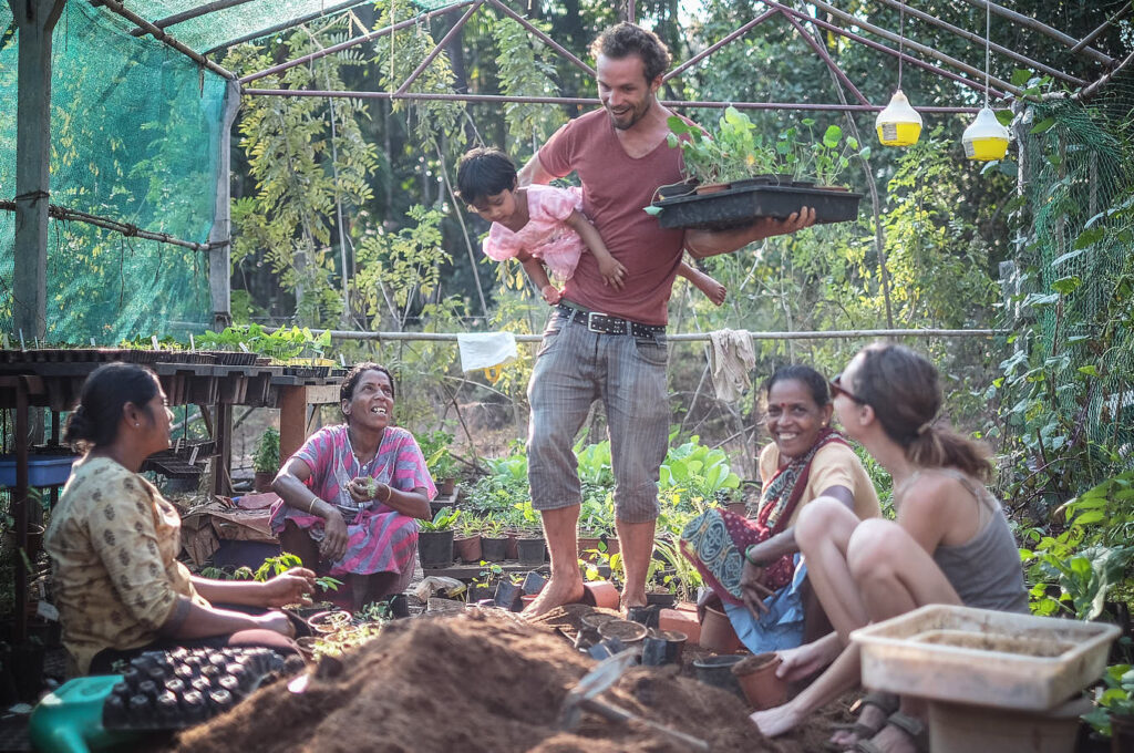 Field research on plants in the Himalayas