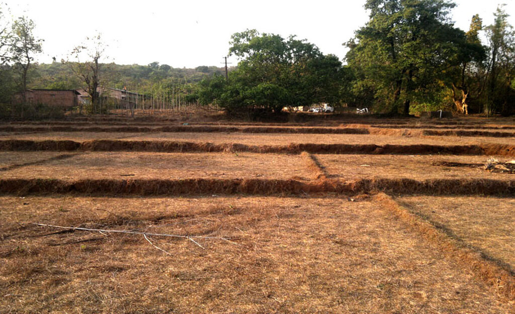 Where the Samata retreat center began in Goa, India