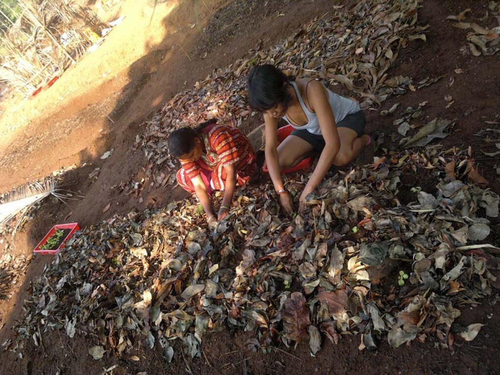 Organic seed sowing at Samata garden, India
