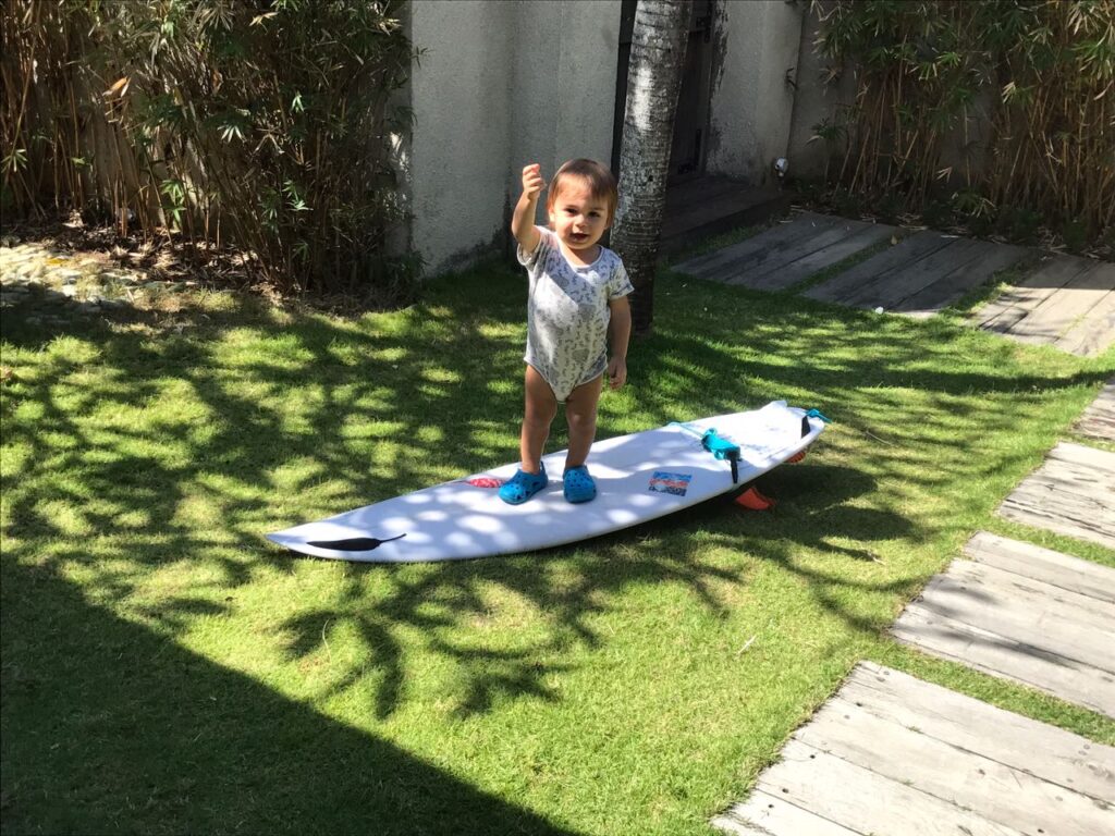 Lush jungle land in Costa Rica