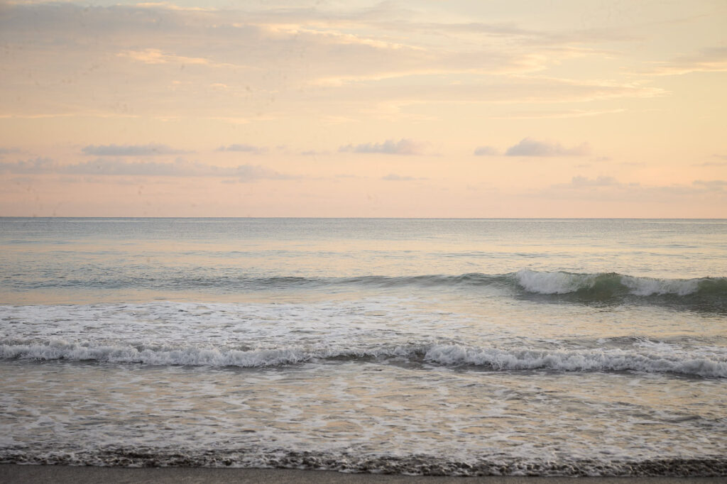 Farmer working in an organic food forest, Costa Rica