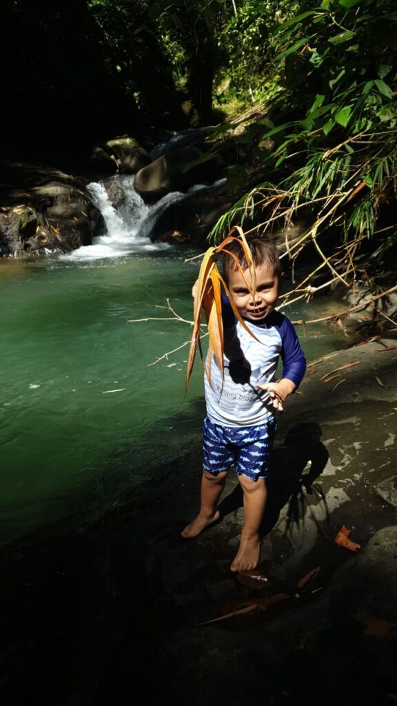 Vertical landscape view of Costa Rica farmland