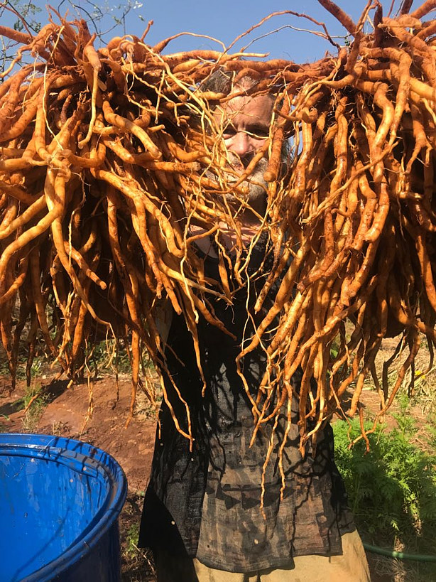 Community gathering at a Dunagiri Foundation site