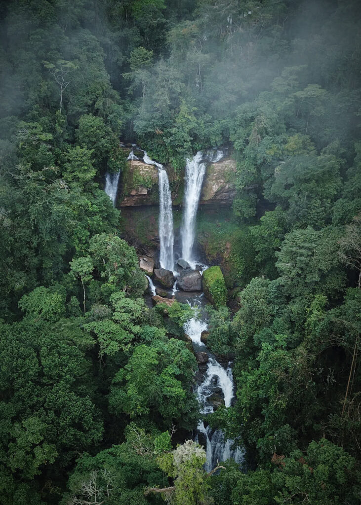 Aerial vertical shot of Costa Rica forest