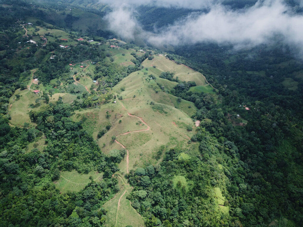 Aerial view of Costa Rica forest canopy