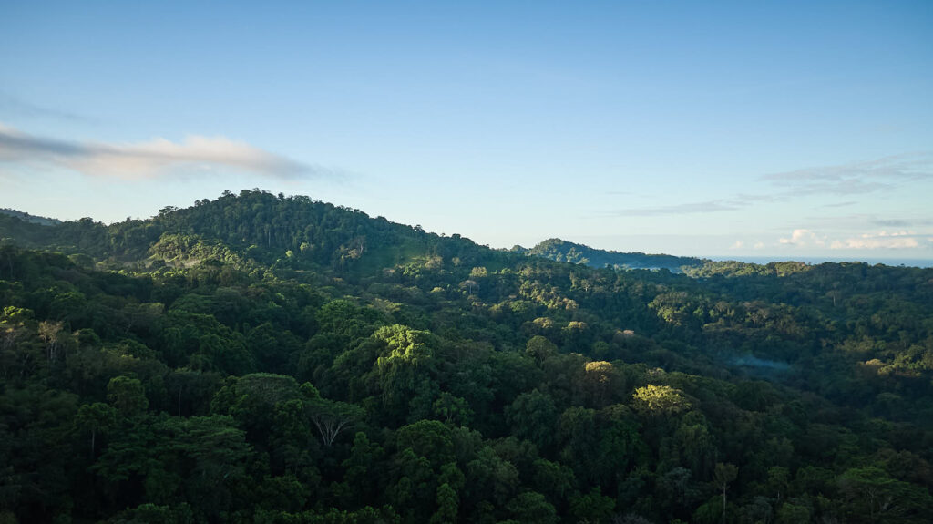 Drone aerial shot of Costa Rica food forest