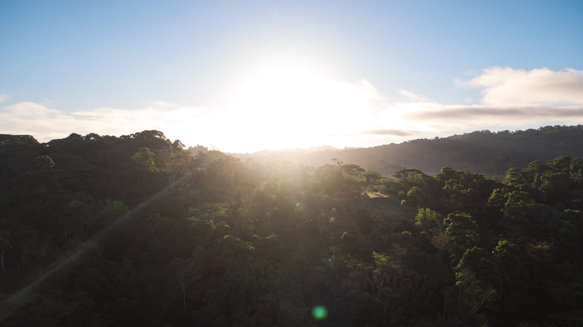 Aerial drone shot of food forest in Pavones, Costa Rica