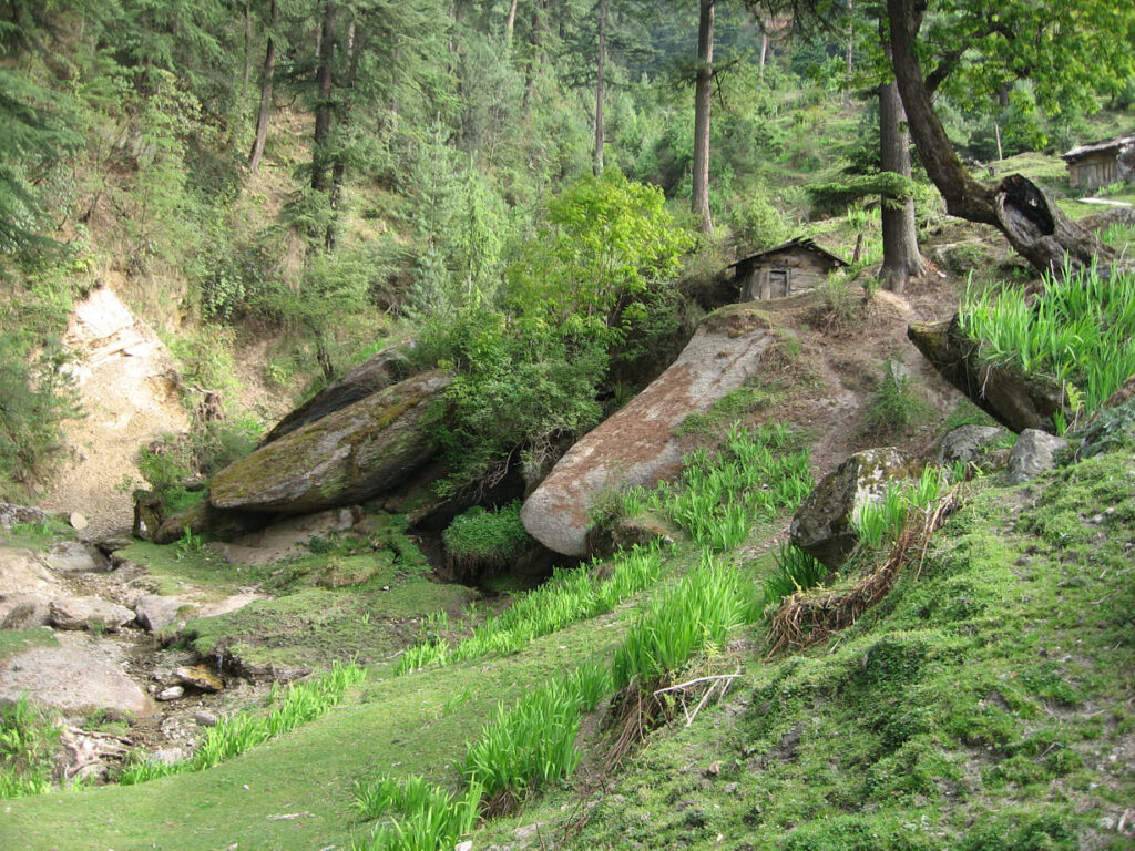 Interior of Samata holistic retreat center, India