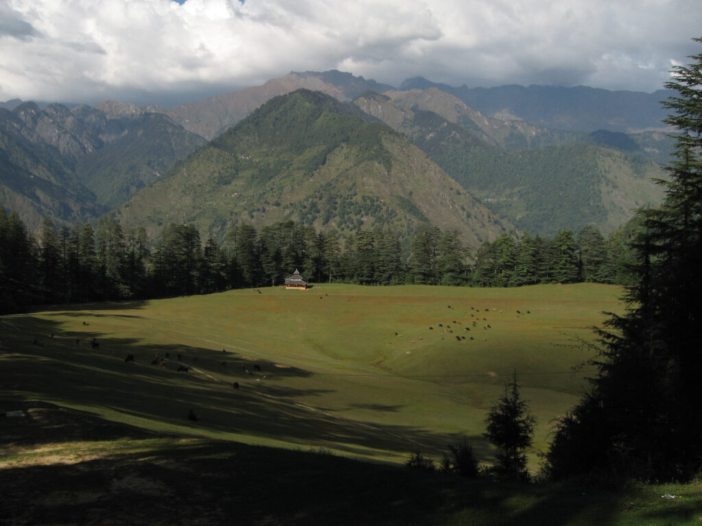 Dunagiri Foundation team in the field, India