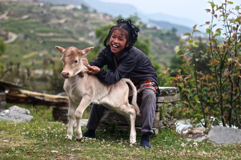 Dunagiri Foundation fieldwork in India