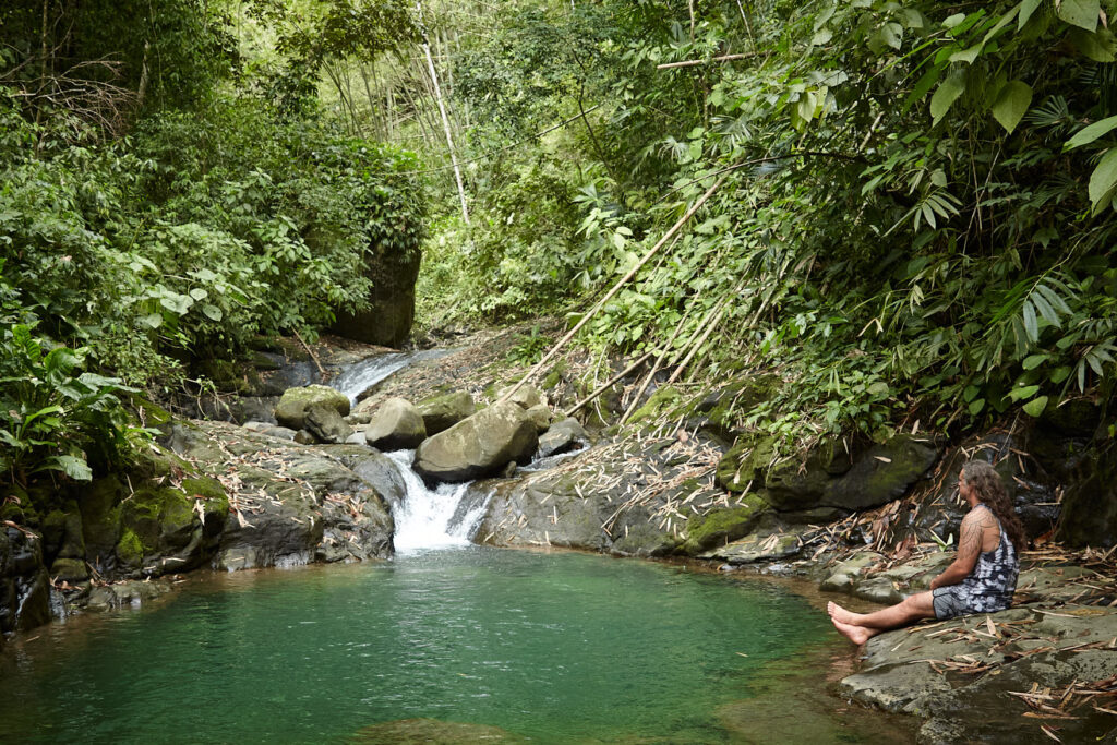 Farmland and food forest in Costa Rica