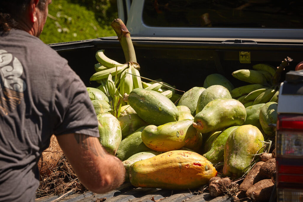 Abundant tropical garden in Costa Rica