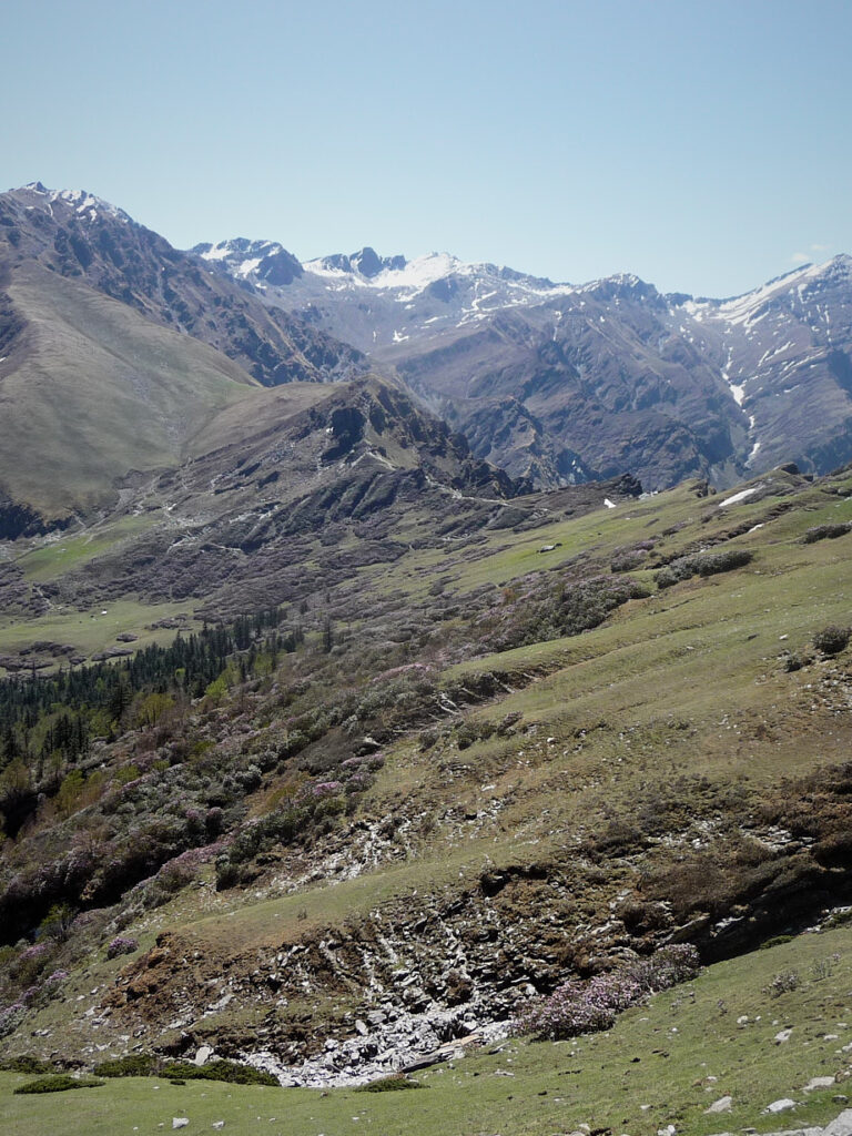 Village in the Indian Himalayas, Dunagiri research site
