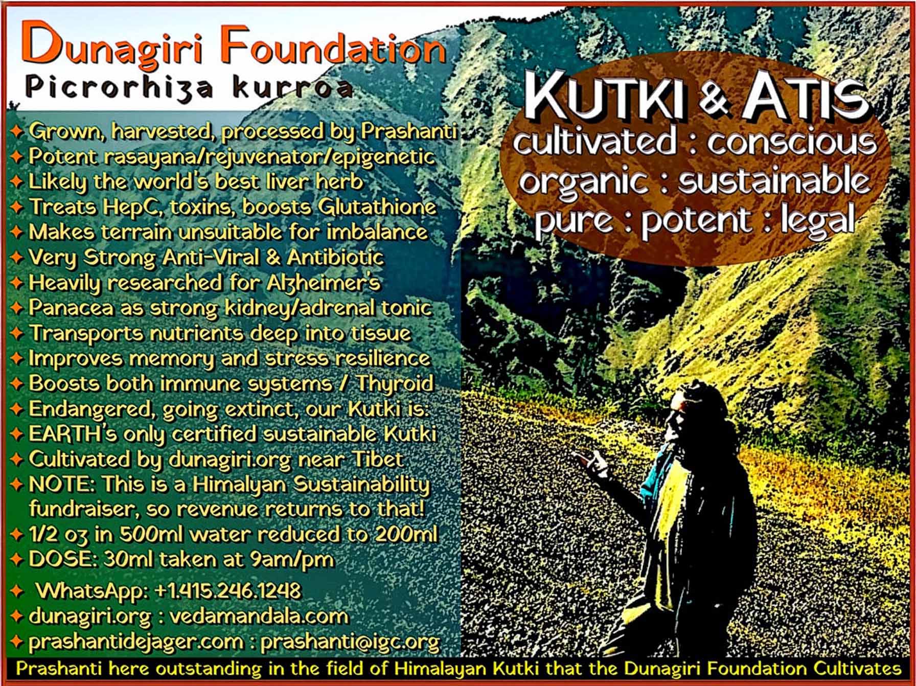 Dunagiri Foundation team in a Himalayan village