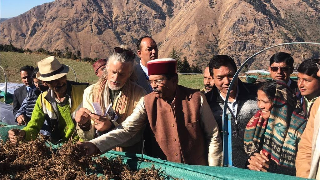 Plant research site at the Dunagiri Foundation, India