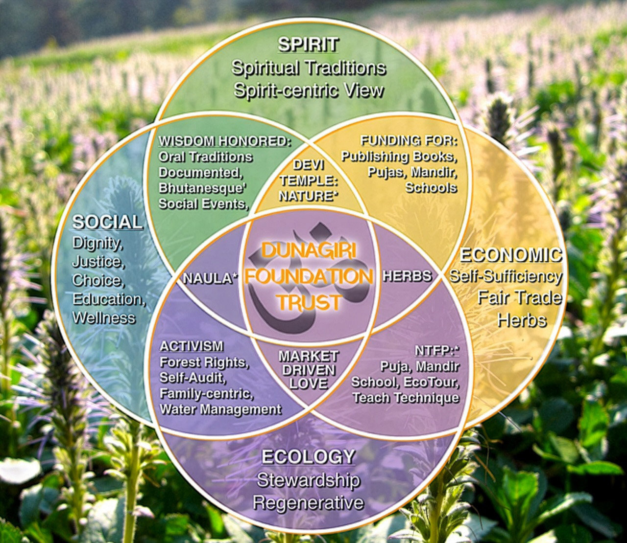 High-altitude farming project in the Himalayas