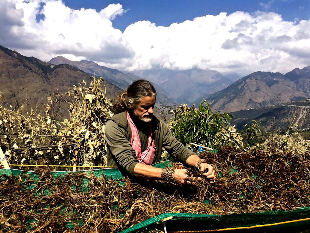 Village work by the Dunagiri Foundation, India