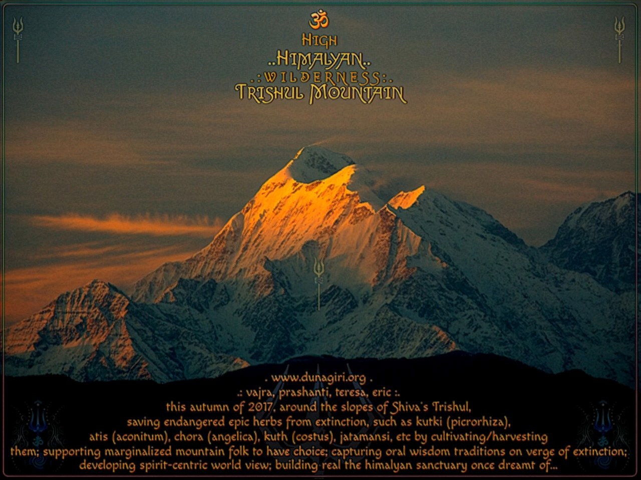 Herb garden in a Himalayan village, India