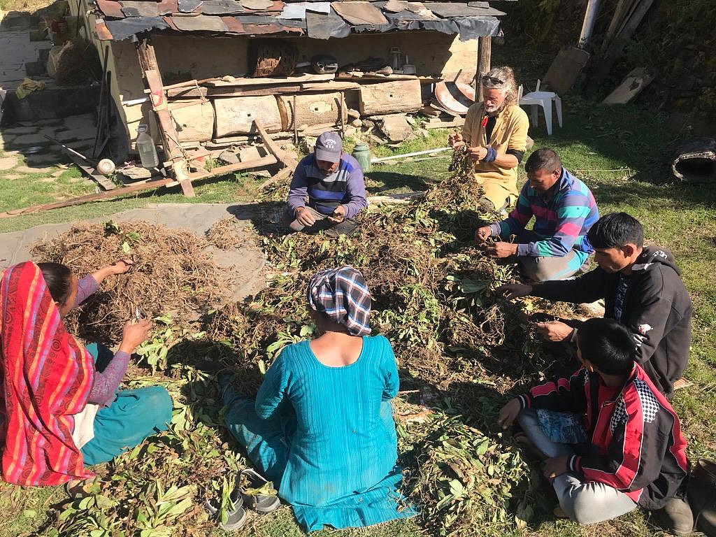 Dunagiri Foundation project site in India