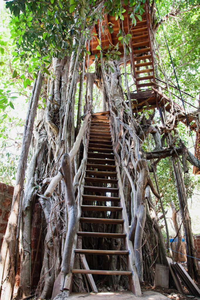 Detail shot from Samata retreat center, Goa