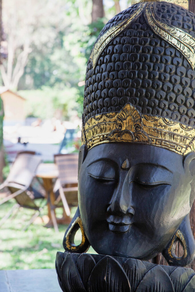 Feature shot at Samata holistic retreat, Goa