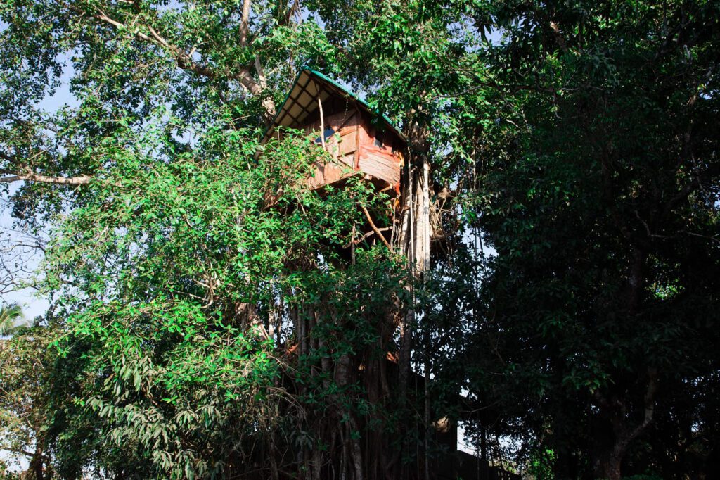 Natural light interior at Samata retreat, Goa