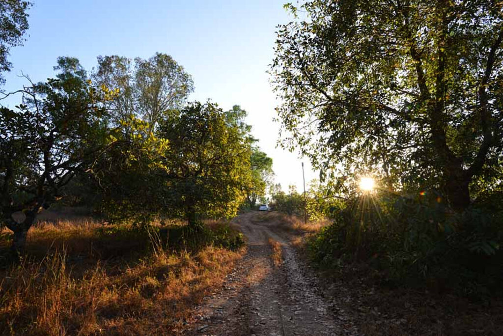 Shrine and garden at Samata retreat, India